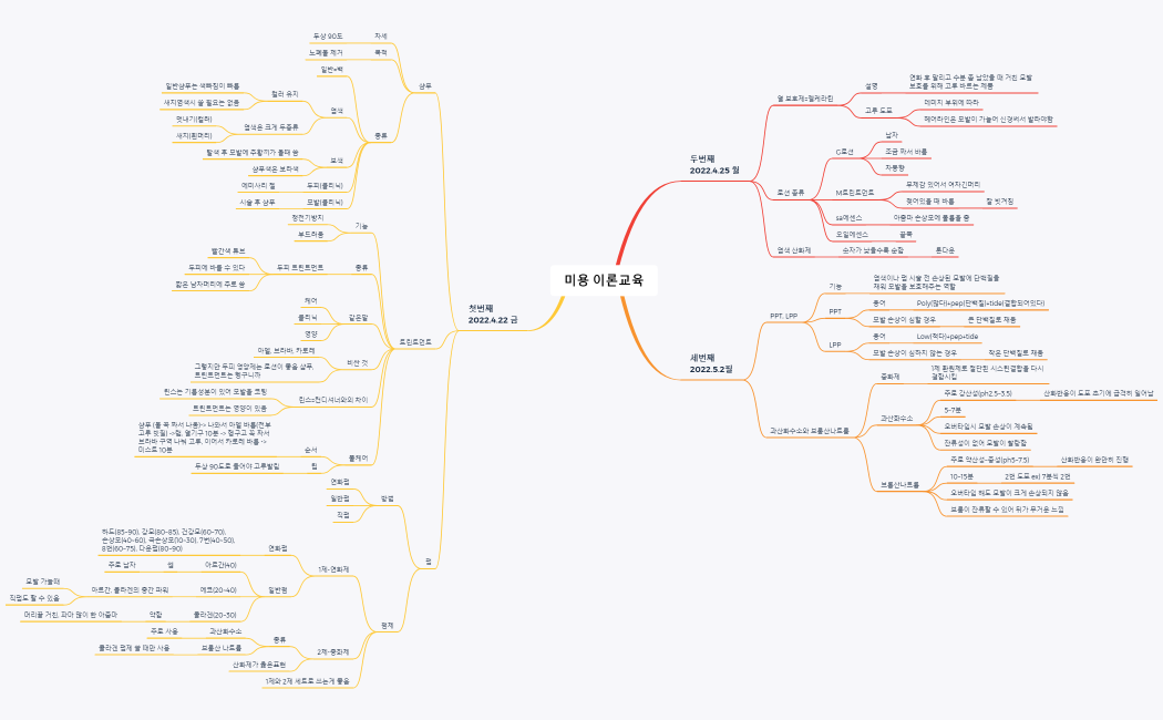 미용 이론교육 3번 합 총정리