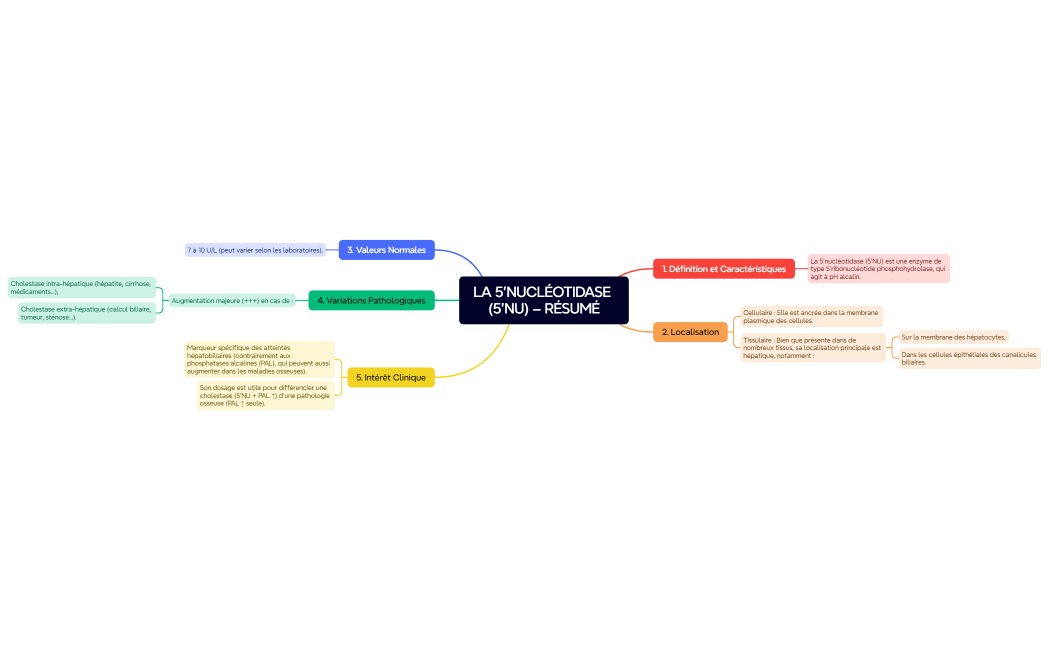 LA 5'NUCLÉOTIDASE (5'NU) – RÉSUMÉ