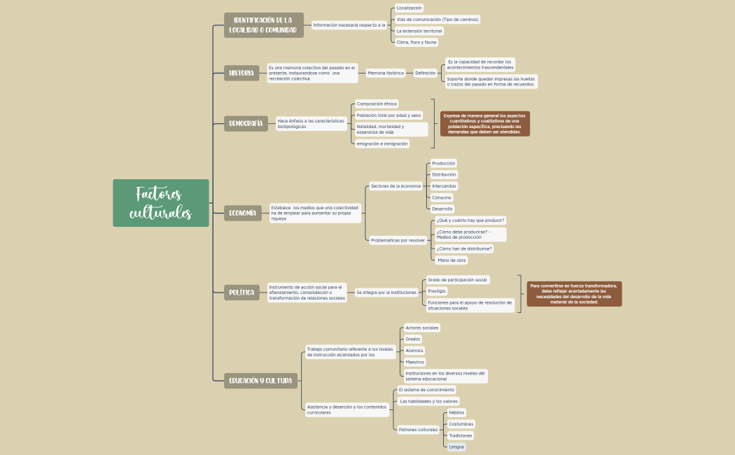 Sm 14 Organizador Factores culturales