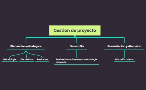 # Gestión de proyecto