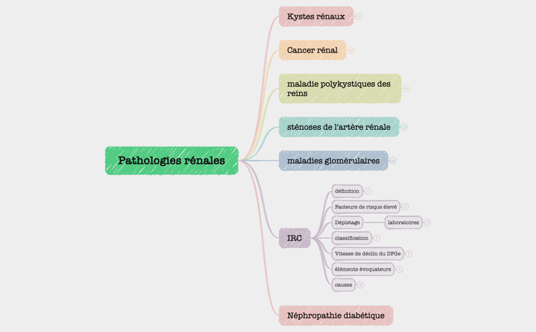 Pathologies rénales