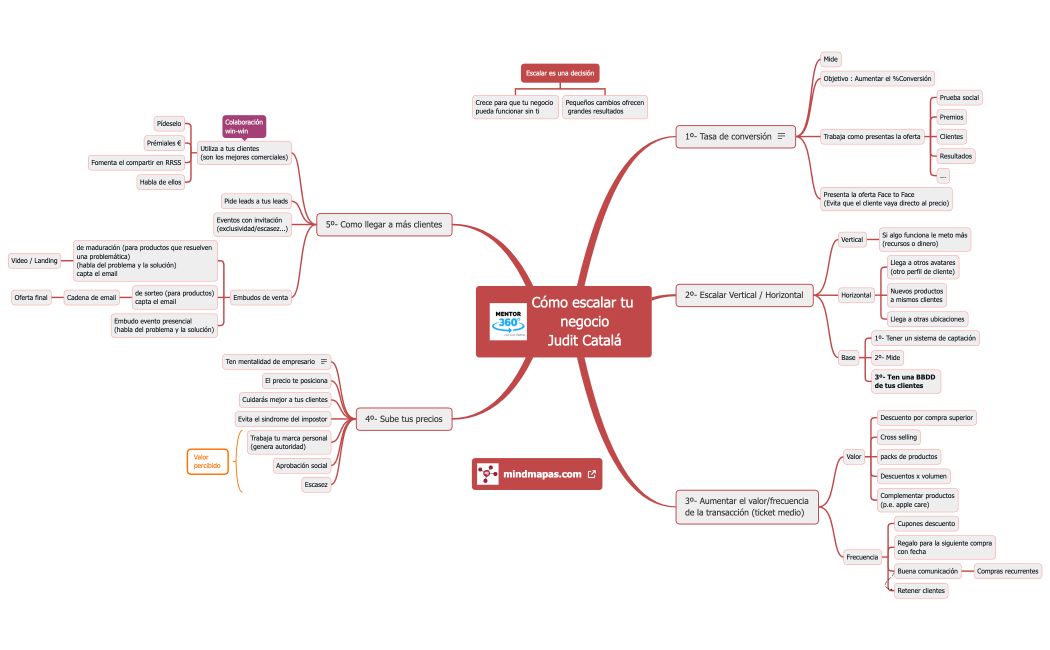 Como escalar tu negocio-Judit Catala-Mentor360