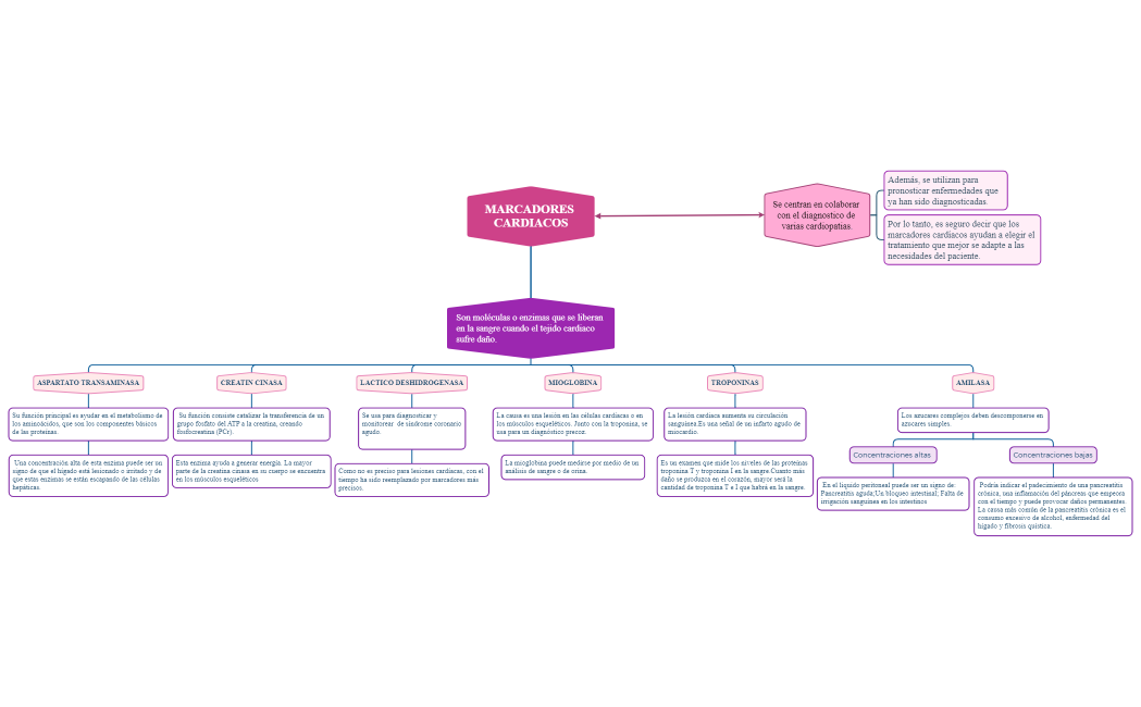MARCADORES CARDIACOS