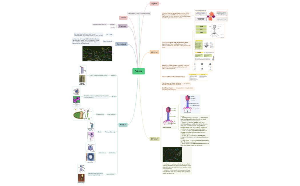 Mind Map