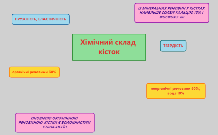 Хімічний склад кісток