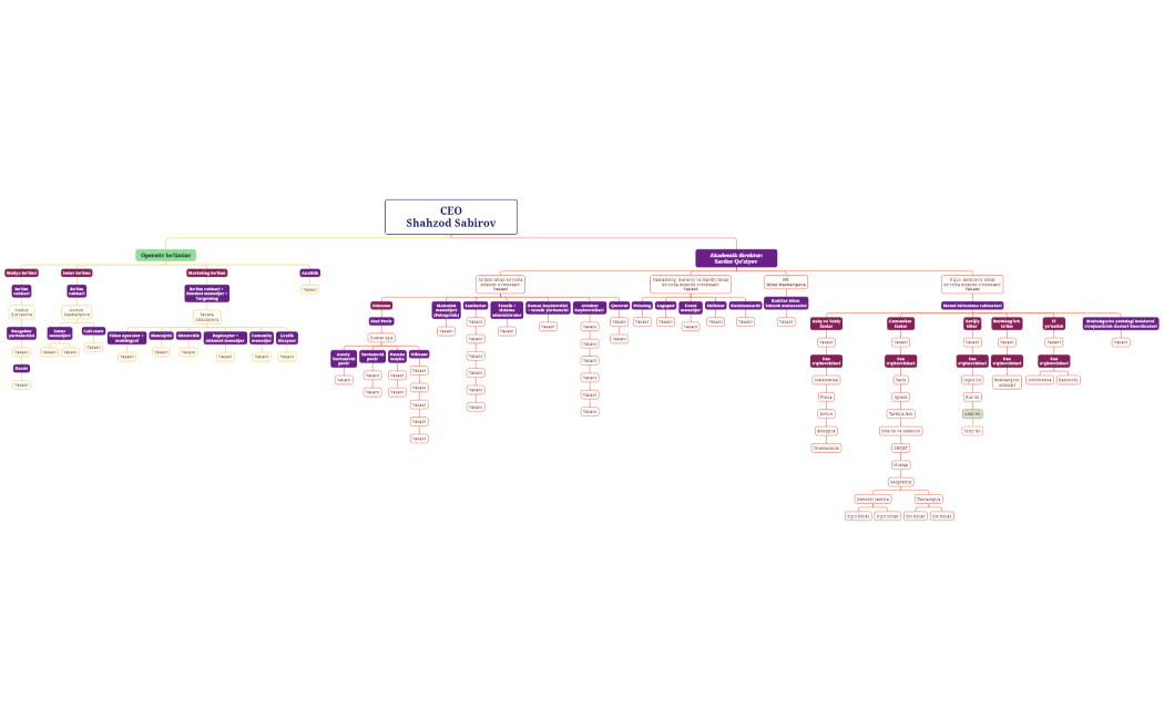 Ментальная карта