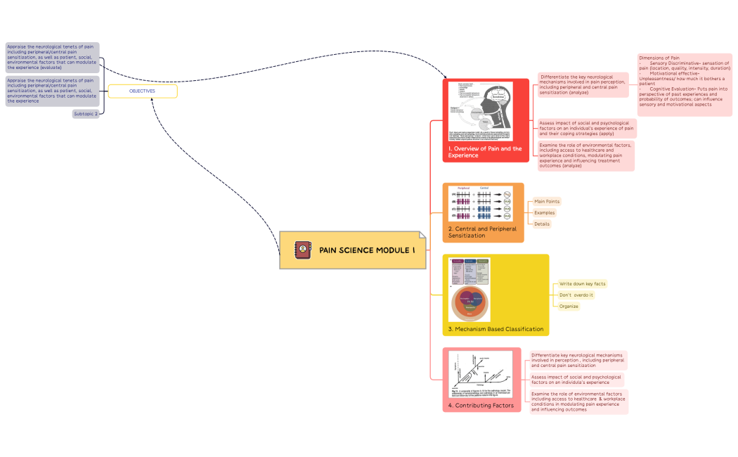 Pain Science Module 1