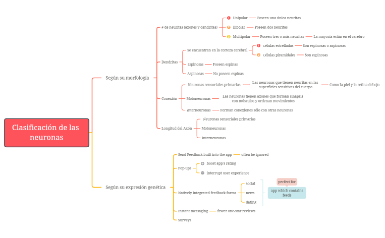Clasificación de las neuronas8.xmind