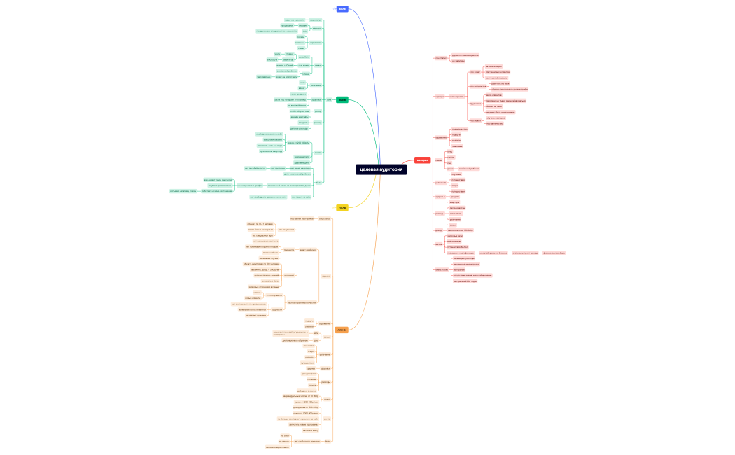 целевая аудитория.xmind