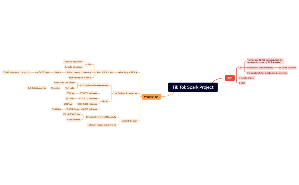 Tik Tok Spark Project