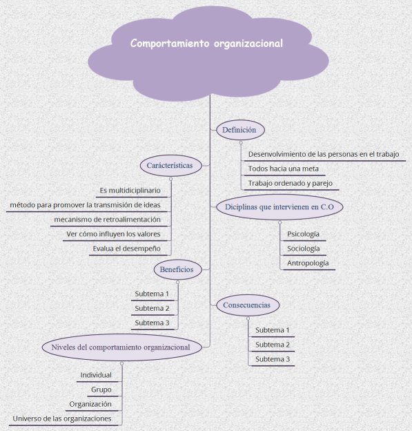 Comportamiento organizacional 