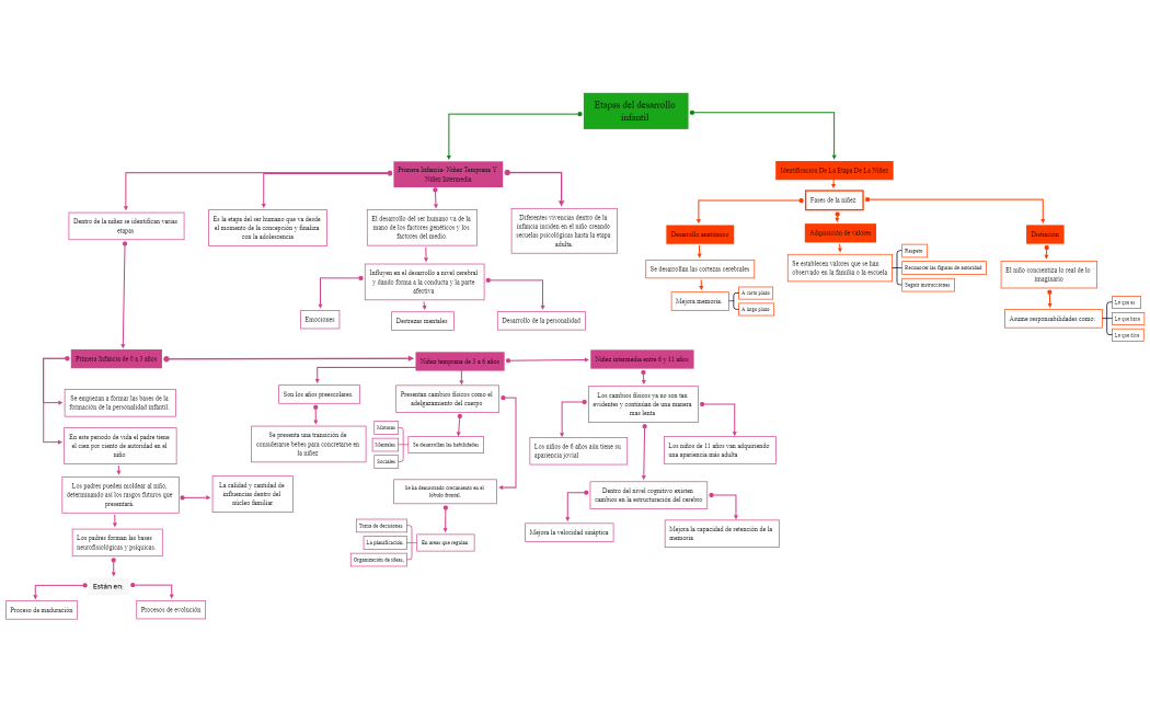 Etapas del desarrollo infantil 