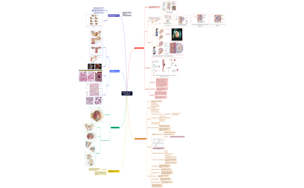 kehamilan dan persalinan