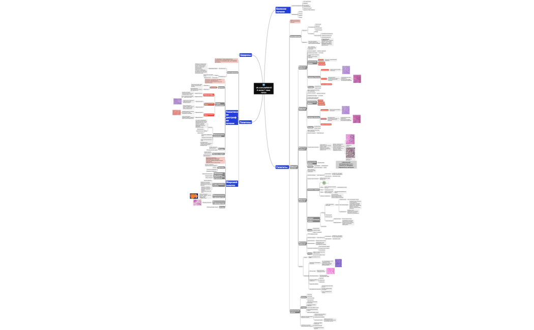  vk.comsafidin114 колок 1 тема патан