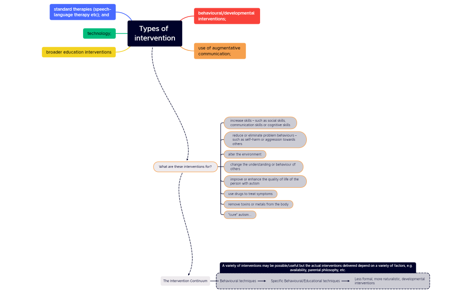 Autism Interventions