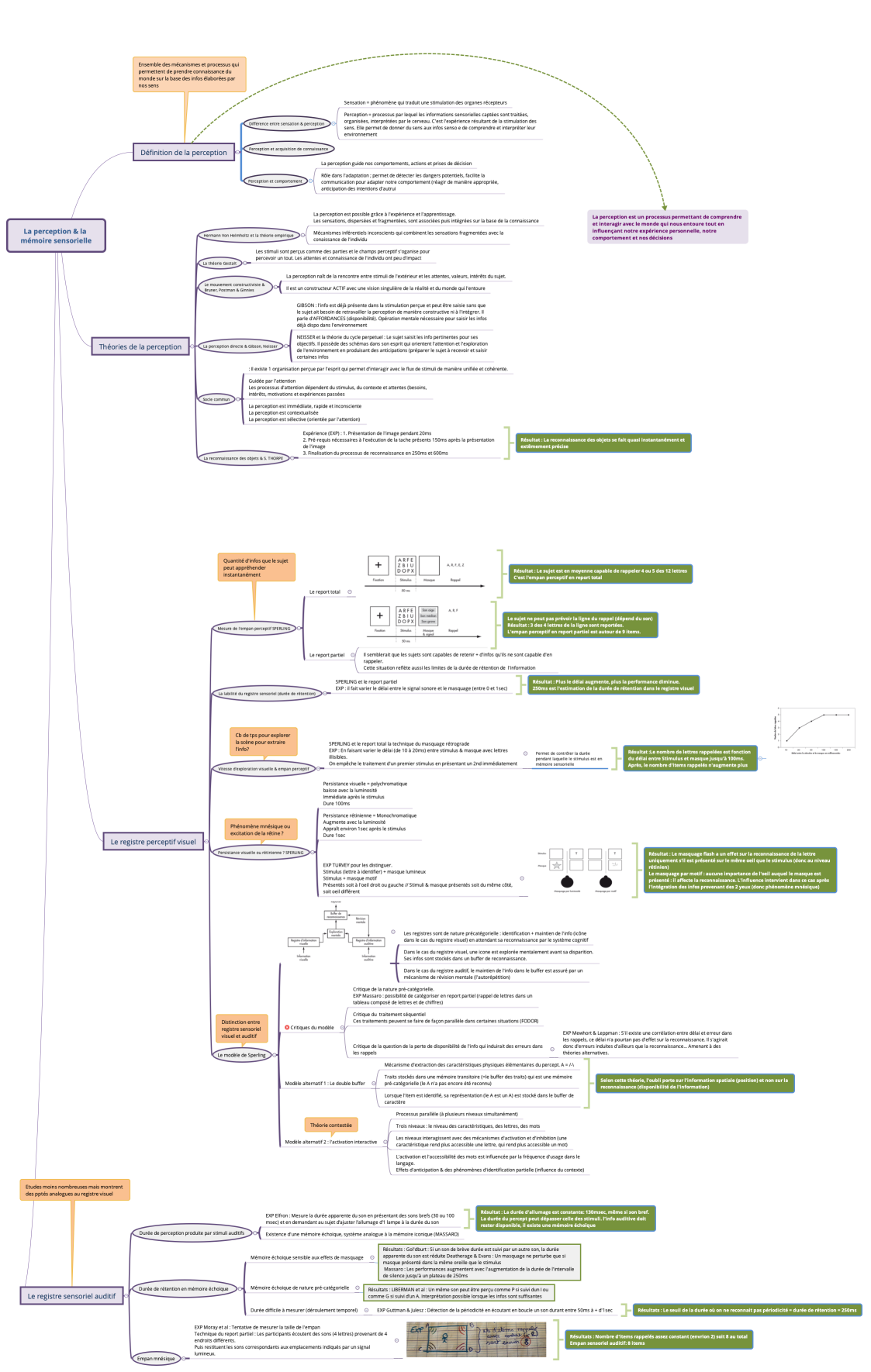La perception & la mémoire sensorielle