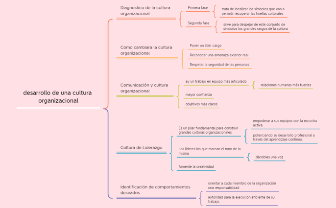desarrollo de una cultura organizacional