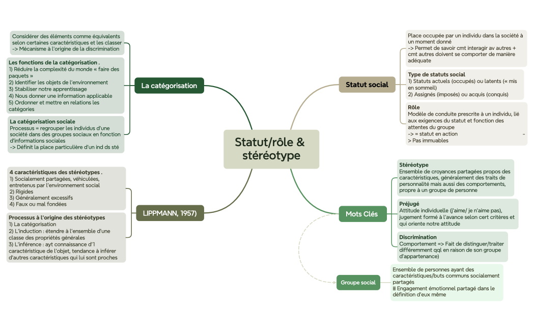 Statutrôle & stéréotype