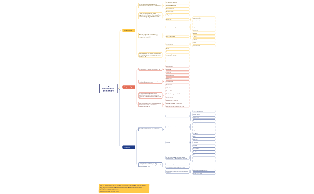 Las dimensiones del hombre