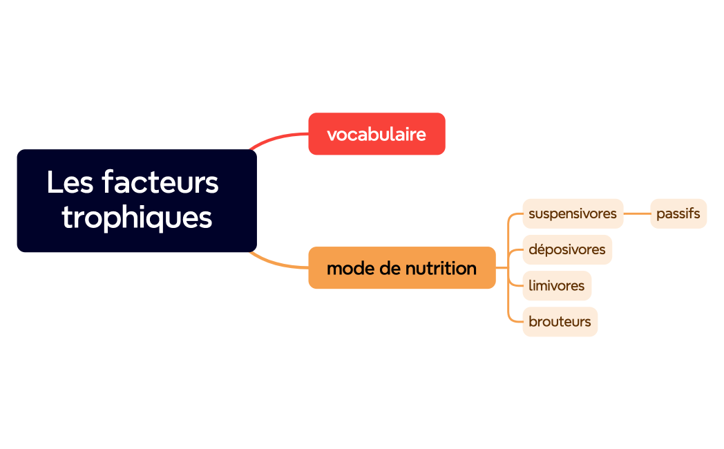 Les facteurs trophiques