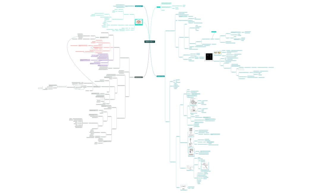 Нервная ткань