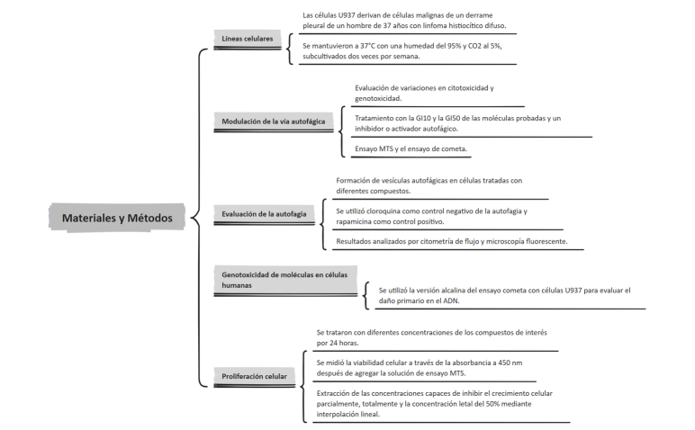 Materiales y Métodos.xmind