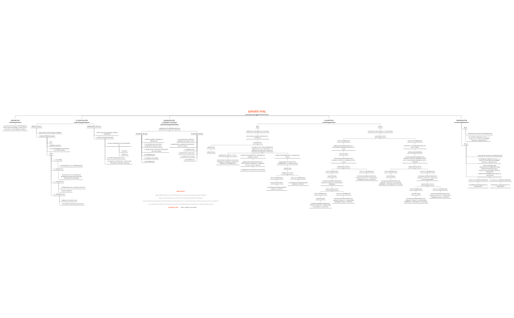 SOPORTE VITAL