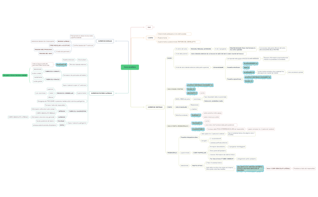 Tronco encefalico e nervi cranici