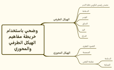 وضحي باستخدام خريطة مفاهيم الهيكل الطرفي والمحورر