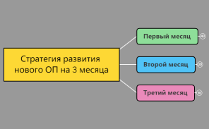 Стратегия развития нового ОП на 3 месяца