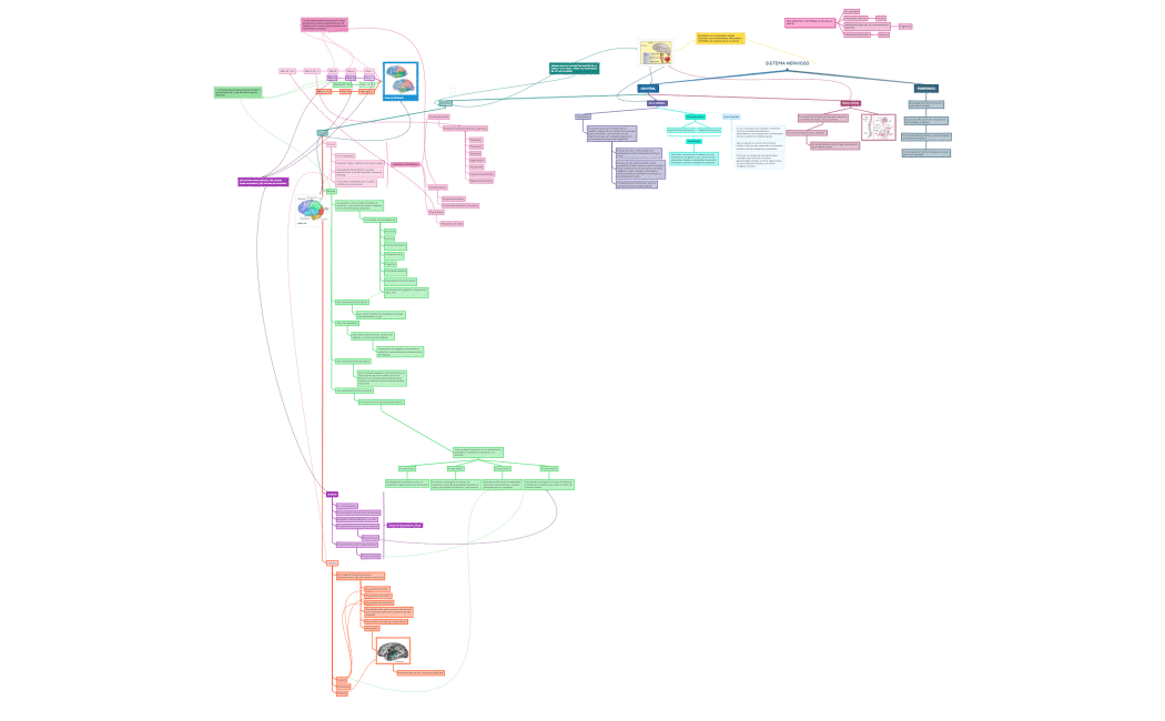 SISTEMA NERVIOSO.xmind