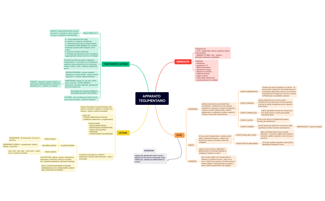 APPARATO TEGUMENTARIO