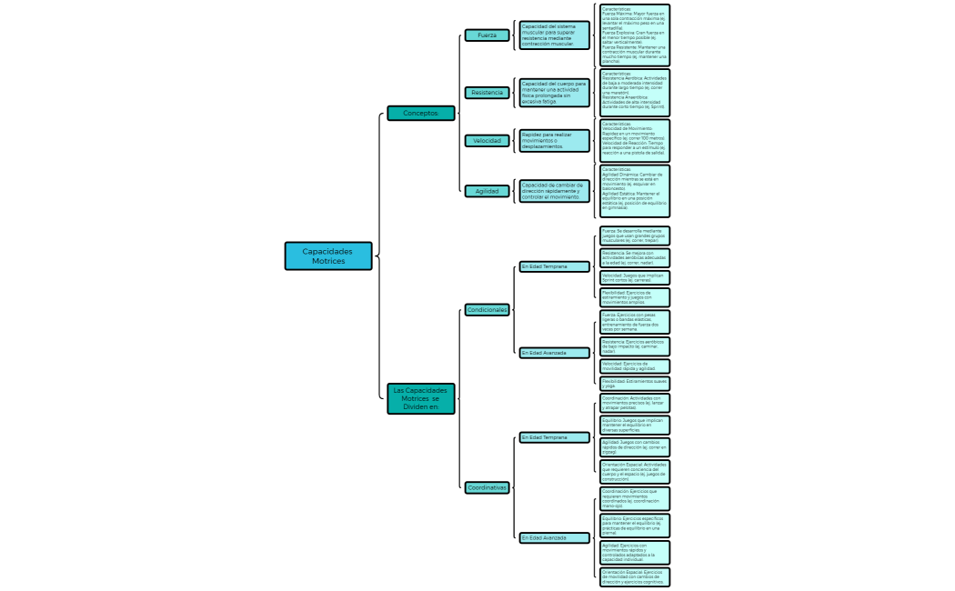 Capacidades Motrices