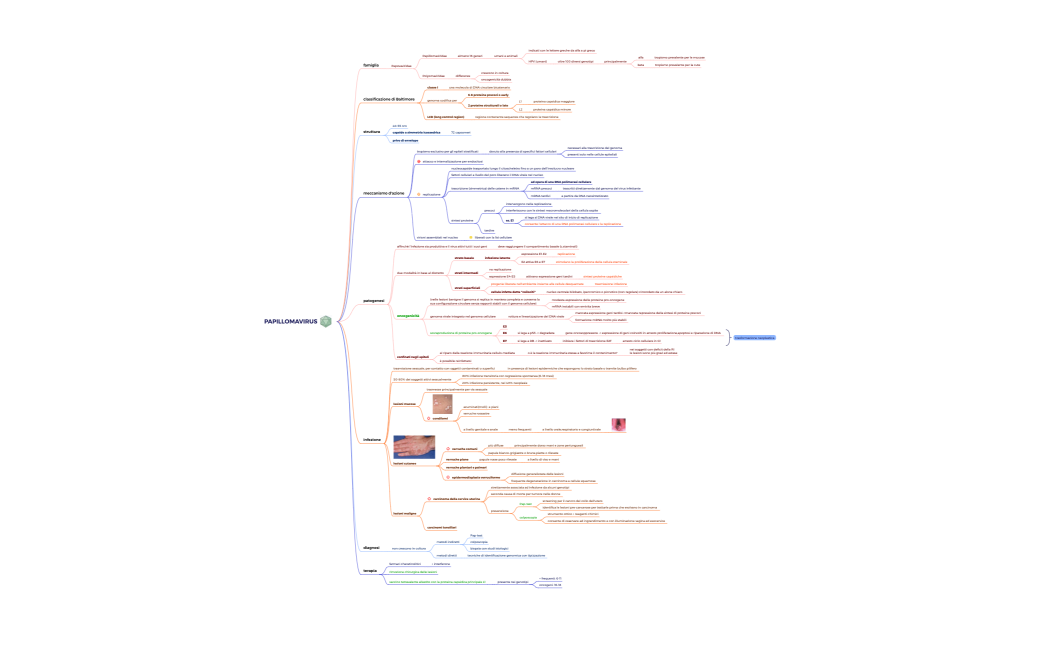 PAPILLOMAVIRUS