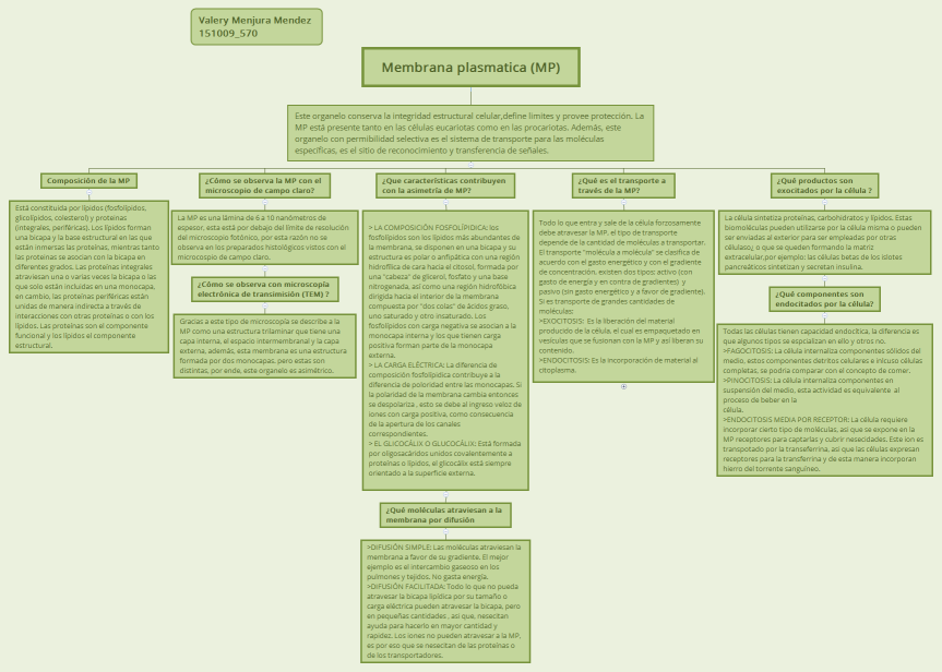 Membrana plasmatica (MP)