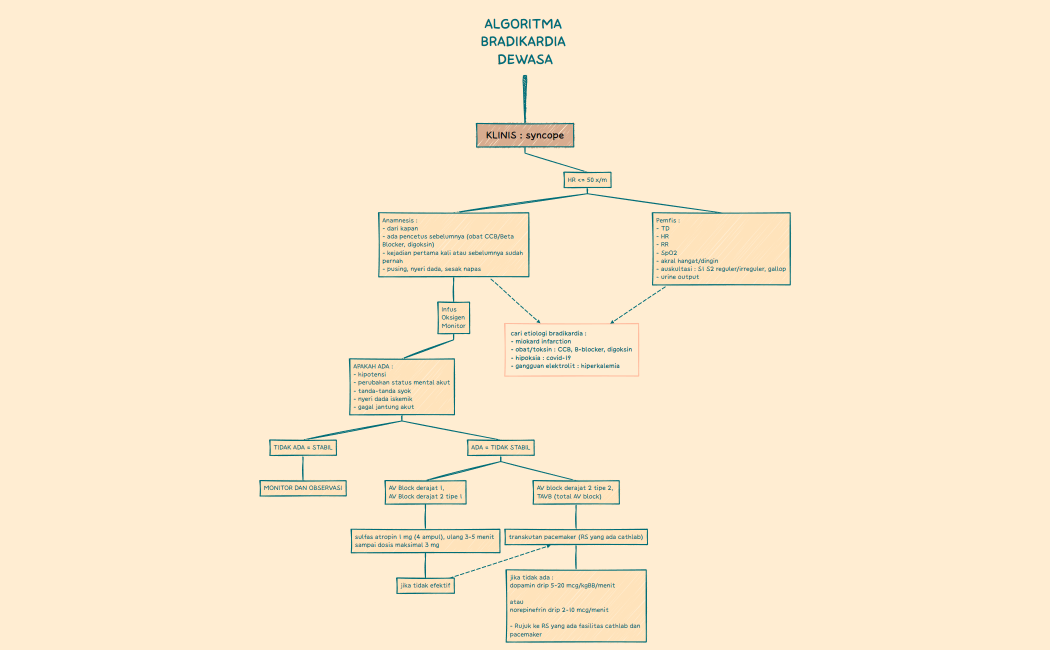 ALGORITMA BRADIKARDIA DEWASA.xmind