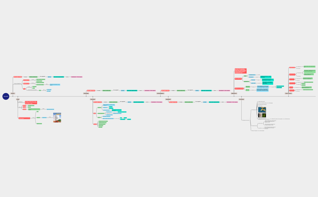 TB_or_not_TBy8CdtgcxMkdfi96244-TAZiz5-euYdV55-06020