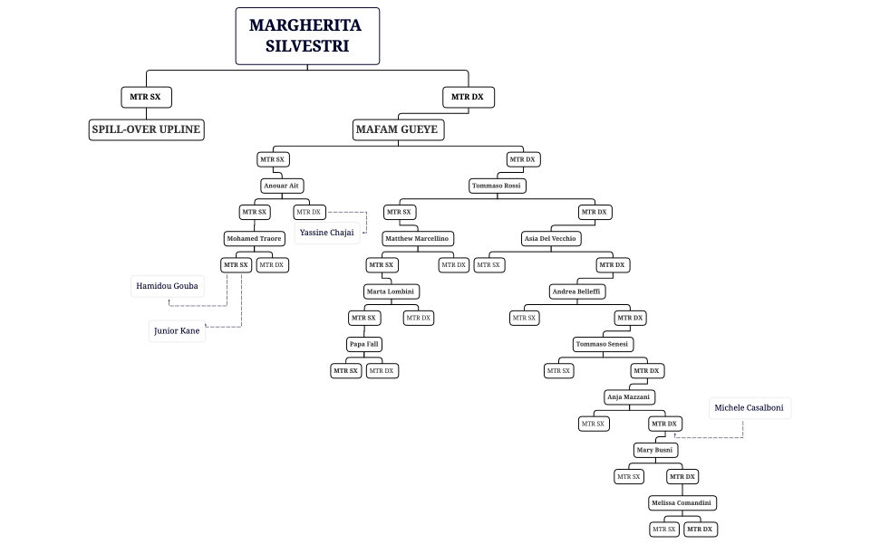 RIDISEGNAMENTO STRUTTURA