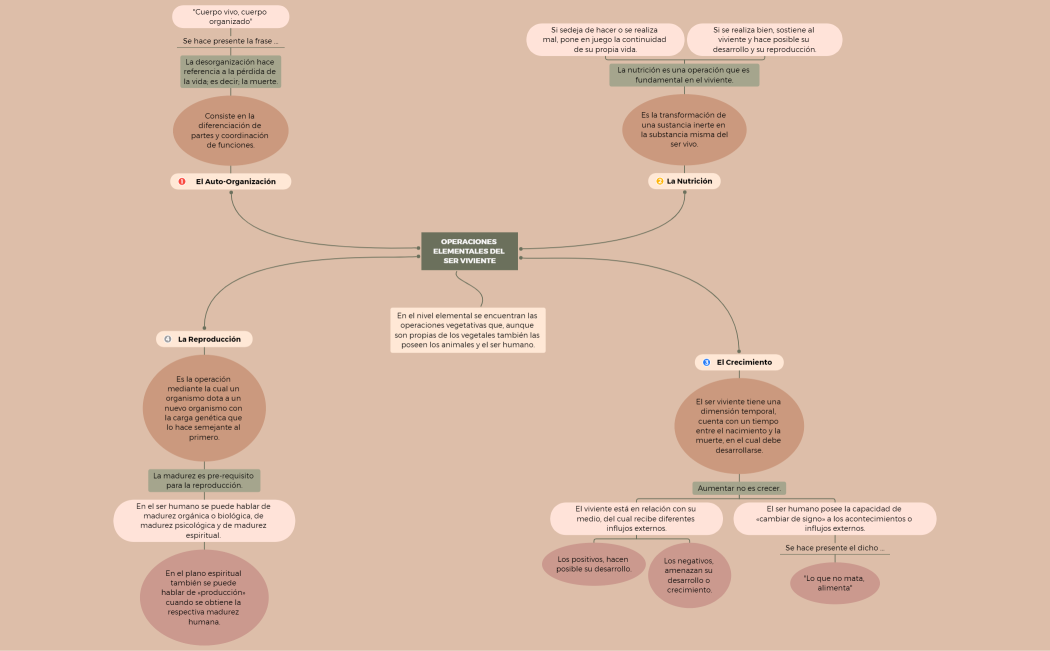OPERACIONES ELEMENTALES DEL SER VIVIENTE