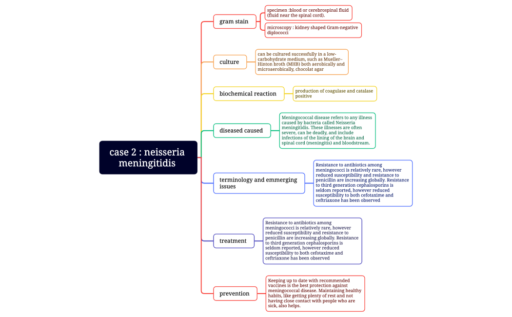 case 2  neisseria meningitidis 