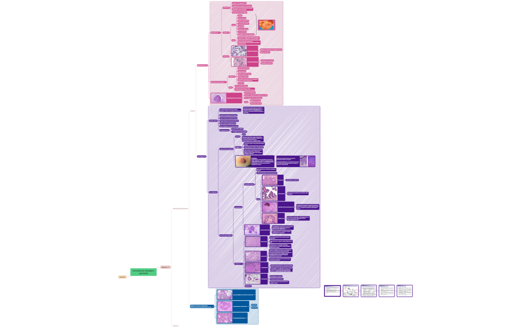 Ментальная карта