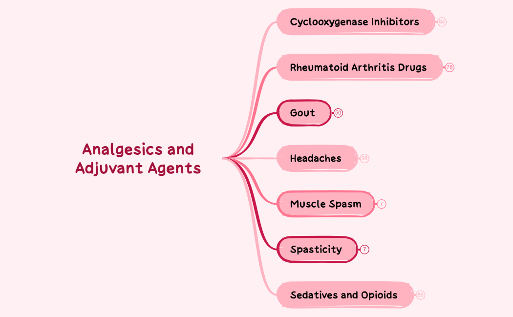 Analgesics and Adjuvant Agents 