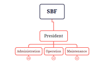 SBF Organizational Chart Structure