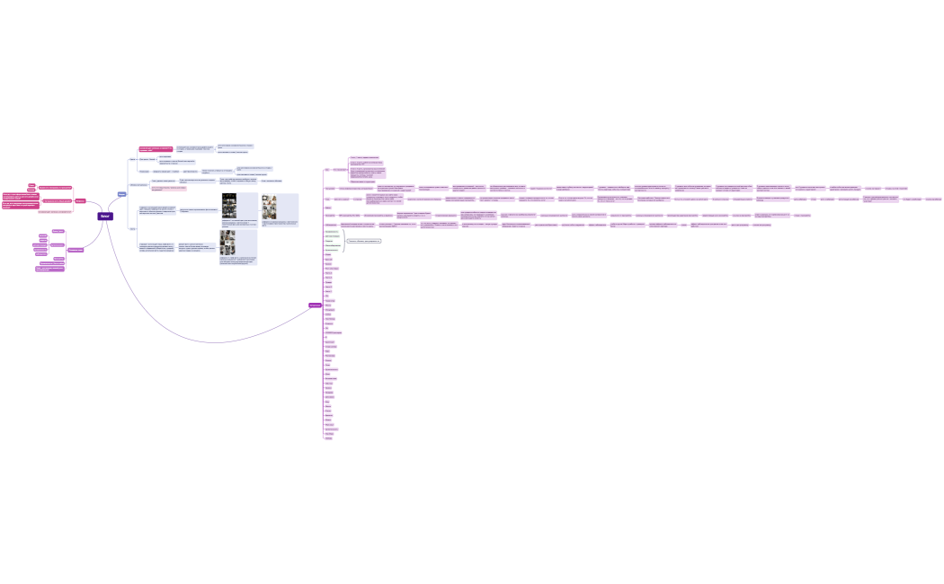 Ментальная карта