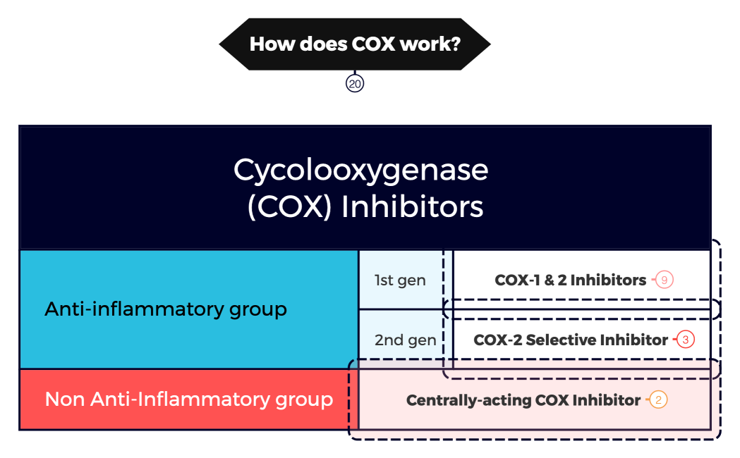 Cycolooxygenase (COX) Inhibitors