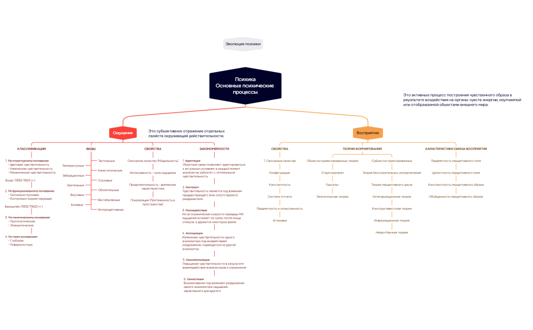 ПсихикаОсновные психические процессы