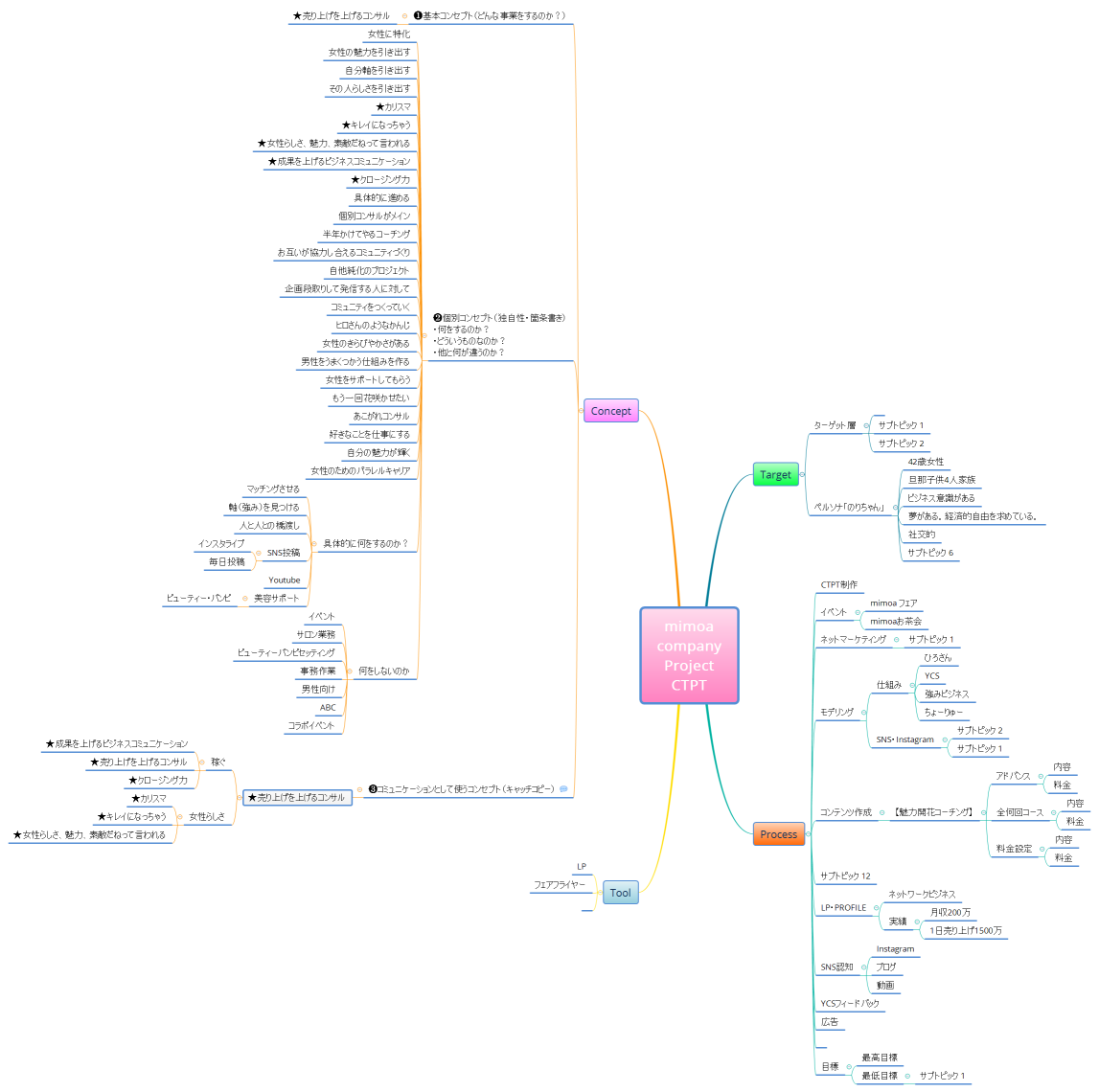 mimoa company Project CTPT