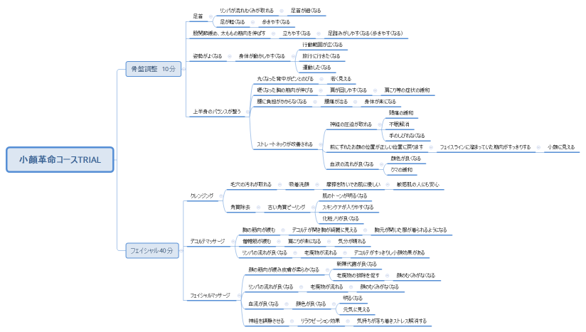 小顔革命コースTRIAL