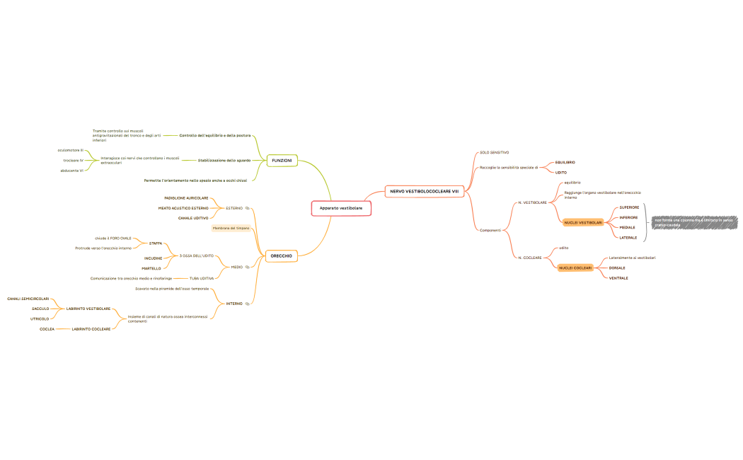Apparato vestibolare