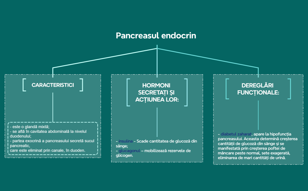 Pancreasul endocrin 